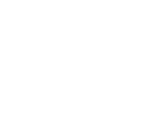 Lewis Plastic Surgery Logo